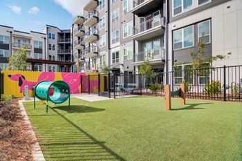 Leash free dog park with agility equipment